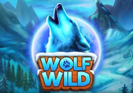 Wolf Wild by REEVO